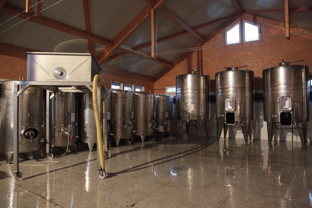 Winzerzimmer - Weingut Tinhof アイゼンシュタット エクステリア 写真
