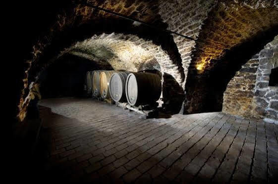 Winzerzimmer - Weingut Tinhof アイゼンシュタット エクステリア 写真