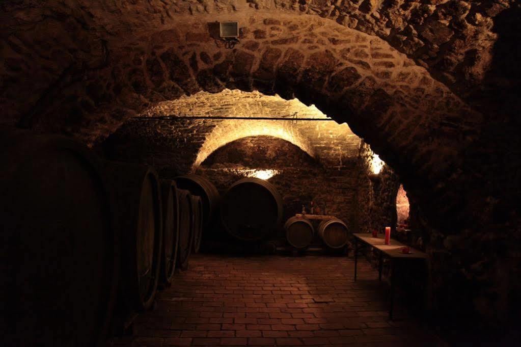 Winzerzimmer - Weingut Tinhof アイゼンシュタット エクステリア 写真